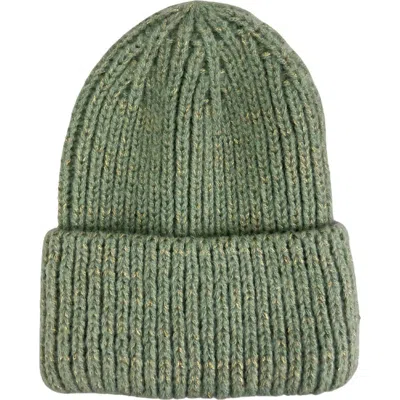 Marcus Adler Metallic Beanie In Green