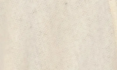 Tasha Border Stripe Ruana In Neutral