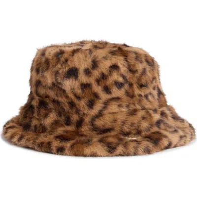 Steve Madden H-zoe Leopard Print Bucket Hat In Brown