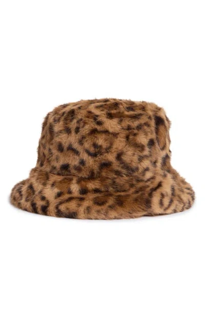 Steve Madden H-zoe Leopard Print Bucket Hat In Brown