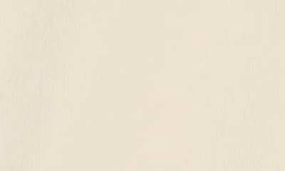 Dl1961 Lexie Denim Skirt In Neutral