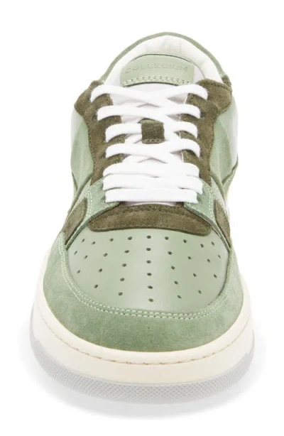 Collegium Alpha Sneaker In Multi