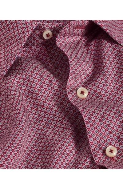 David Donahue Regular Fit Geometric Print Cotton Dobby Dress Shirt In Multi