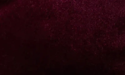 Steve Madden Lici Rosette Off The Shoulder Velvet Top In Burgundy