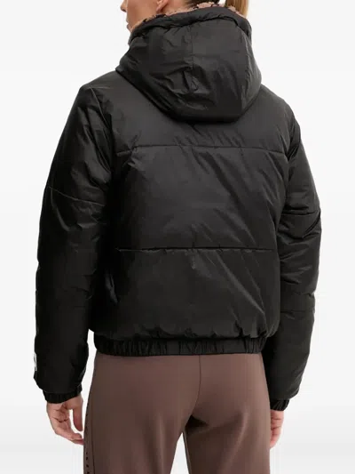 Ea7 Graphic Series Reversible Jacket In Brown