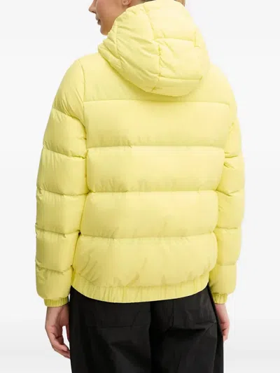 Jack Wolfskin Frozen Palace Hooded Zip-fastening Jacket In Transparent