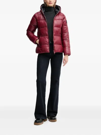 Save The Duck Lois Hooded Padded Jacket In Red