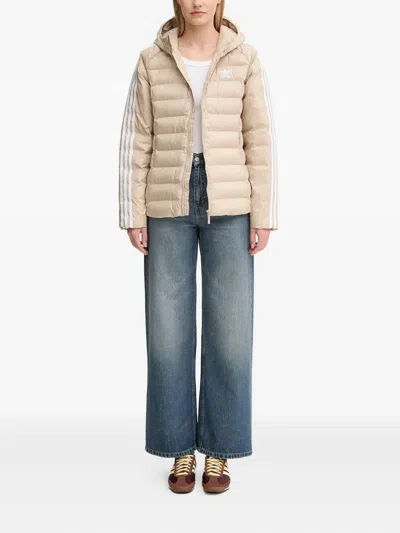 Adidas Originals Adicolor Hooded Jacket In Neutral