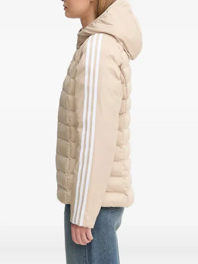 Adidas Originals Adicolor Hooded Jacket In Neutral