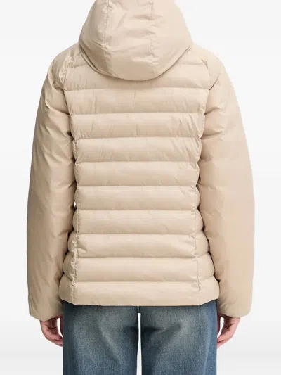 Adidas Originals Adicolor Hooded Jacket In Neutral