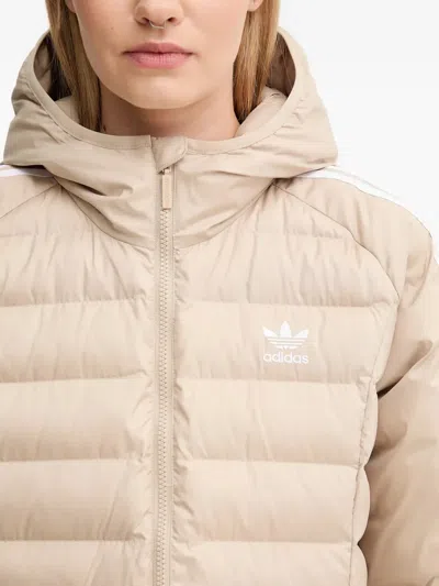 Adidas Originals Adicolor Hooded Jacket In Neutral
