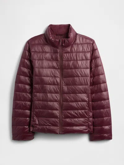 Gap Factory Coldcontrol Puffer Jacket In Burgundy