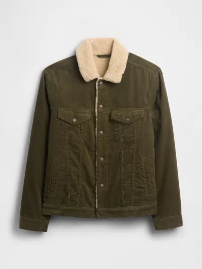 Gap Factory Sherpa-lined Icon Corduroy Jacket In Green