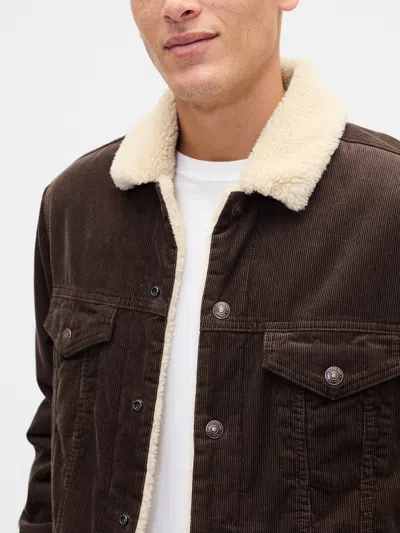Gap Factory Sherpa-lined Icon Corduroy Jacket In Brown