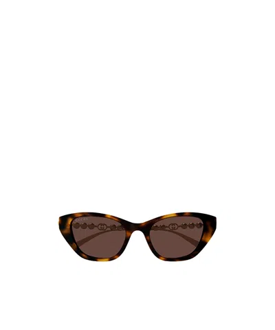 Gucci Gg1968s Linea Emblem 003 Havana Gold Brown Sunglasses In Brown