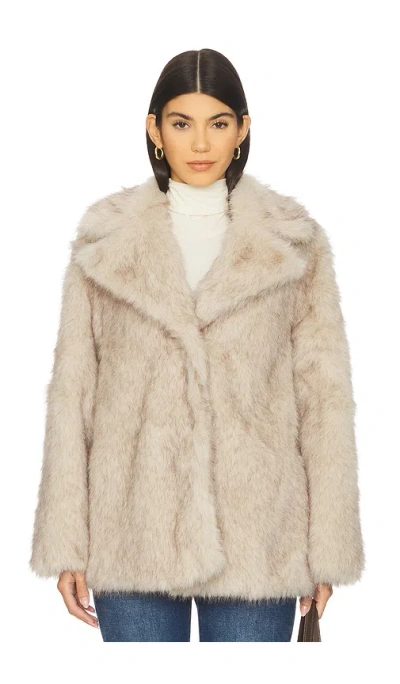 Steve Madden Kindra Coat In Brown