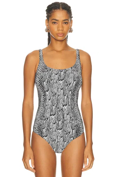 Wolford Seamless Python Bodysuit In Gray