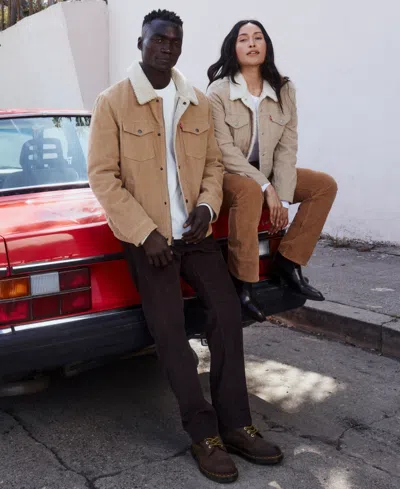 Levi's 725 High-rise Bootcut Corduroy Women's Pants 33x32 In Brown