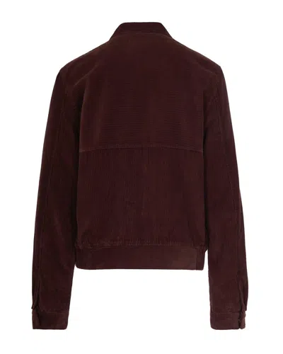 Arte Jacket In Brown