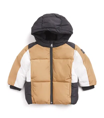 Bosswear Hooded Puffer Jacket In Brown