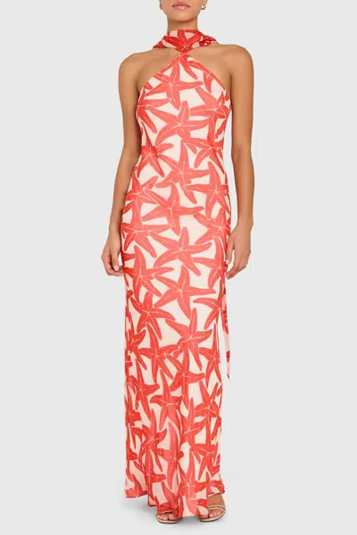 Amanda Uprichard Ashton Halter Neck Maxi Dress In Starfish Print In Multi