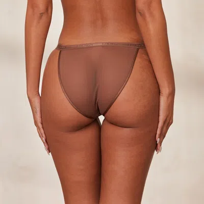 Lounge Chestnut In Brown