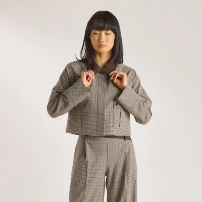 Lounge Brown In Gray