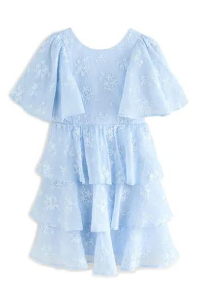 Laura Ashley Kids' Floral Embroidered Tiered Party Dress In Blue