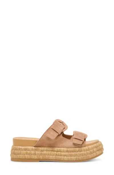Dolce Vita Women's Witny Buckled Slide Sandals In Brown