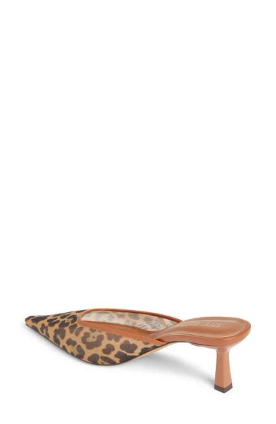 Steve Madden Lisbeth Pointed Toe Mule In Multi