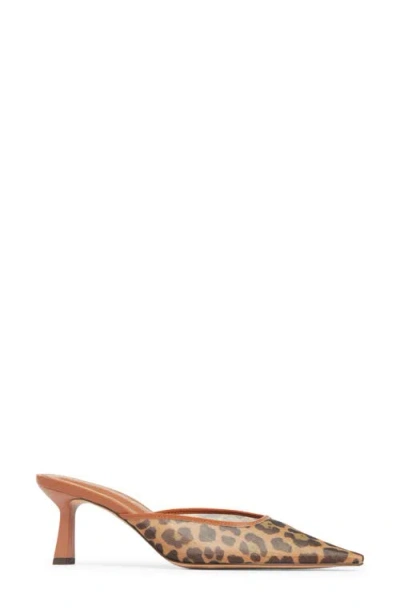 Steve Madden Lisbeth Pointed Toe Mule In Multi