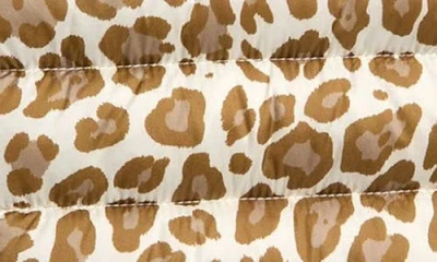 Save The Duck Kids' Leopard Print Hooded Puffer Jacket In Animal Print