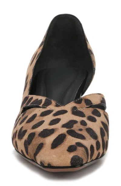Sarto By Franco Sarto Roselyn Kitten Heel Pump In Brown
