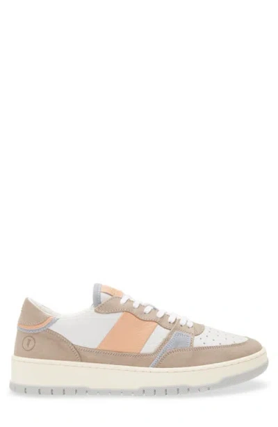 Collegium Alpha Sneaker In Multi