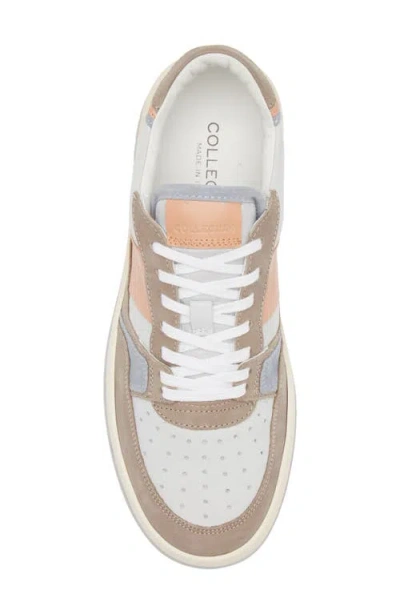 Collegium Alpha Sneaker In Multi