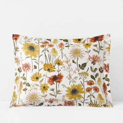 The Company Store Daisies Classic Smooth Sateen Sham In White