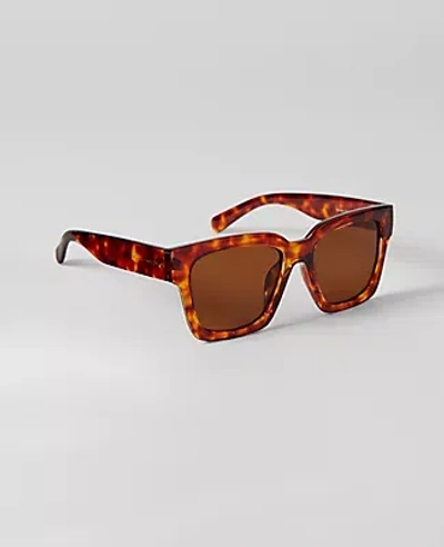 Ann Taylor Oversized Curved Square Sunglasses