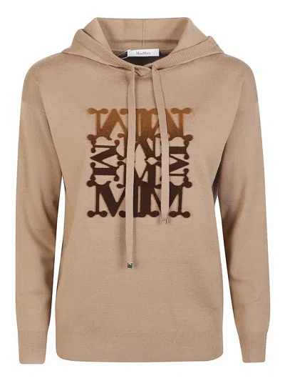 Max Mara Sweater In Brown