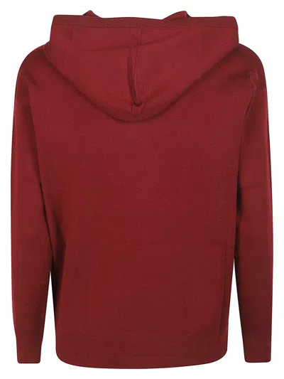Max Mara Hooded Virgin Wool Long Sleeve Sweatshirt In Burgundy