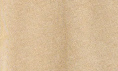 Madewell Relaxed Long Sleeve Raglan T-shirt In Brown