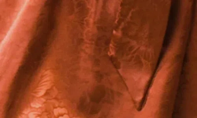 Flying Tomato Long Sleeve Satin Minidress In Brown