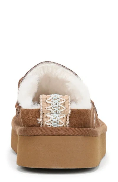 Blowfish Malibu Women's Montreal Mule Clogs In Brown