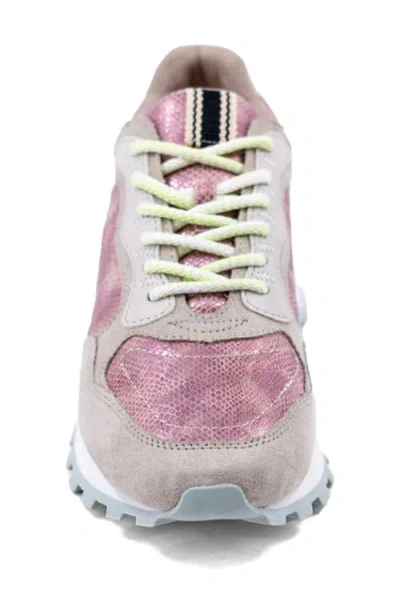 Shushop Phoebe Sneaker In Multi