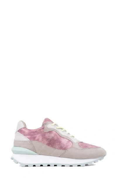 Shushop Phoebe Sneaker In Multi