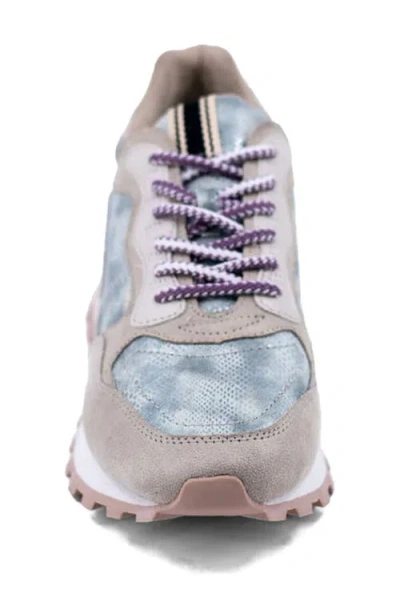 Shushop Phoebe Sneaker In Multi