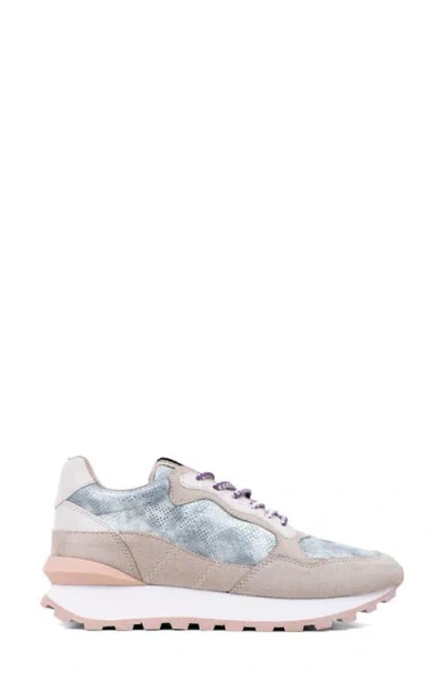 Shushop Phoebe Sneaker In Multi