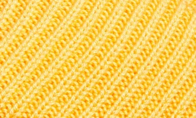 Adidas Originals Adidas Terrace Ribbd Beanie In Yellow