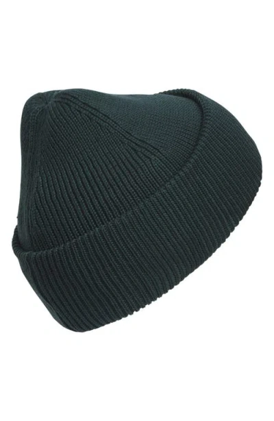 Adidas Originals Adidas Terrace Ribbd Beanie In Green