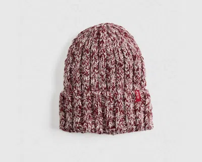 Levi's Alex Beanie In Multi