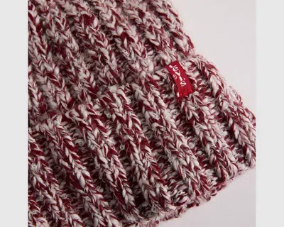 Levi's Alex Beanie In Multi